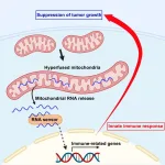 Fig. 1 Ishihara