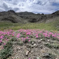 Tost Toson Bumbiin Nuruu in Mongolia