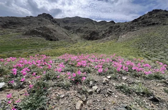 Tost Toson Bumbiin Nuruu in Mongolia