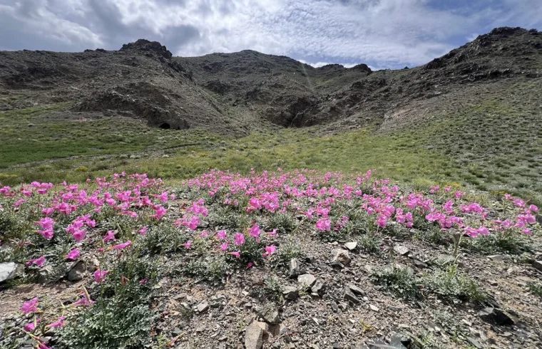 Tost Toson Bumbiin Nuruu in Mongolia