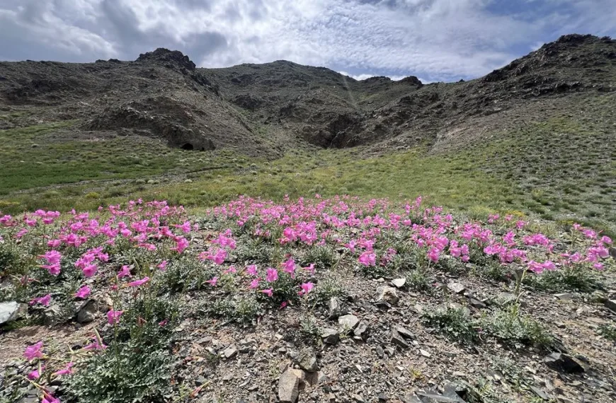 UNESCO Designates 14 New Biosphere Reserves, Network Expands to 797 Sites Worldwide