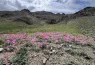 Tost Toson Bumbiin Nuruu in Mongolia