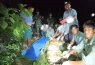 tiger rescue ntnc
